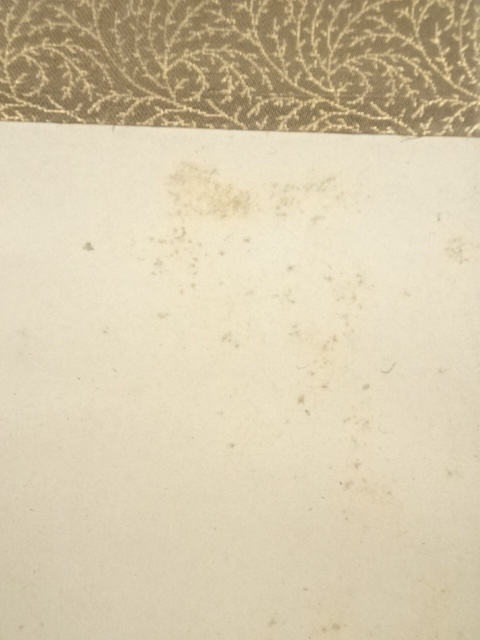 道具 ] - 道具 長谷川玉峰筆 桃花鳥図 肉筆紙本掛軸（保護箱）□z